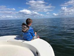 Gulf of Mexico angling excellence